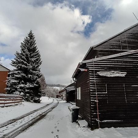 Penzion apartmány Aninka Mariánská Exterior foto